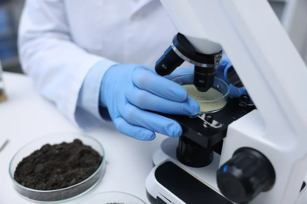 Gloved researcher examining a soil sample under a microscope, with a Petri dish of soil alongside
