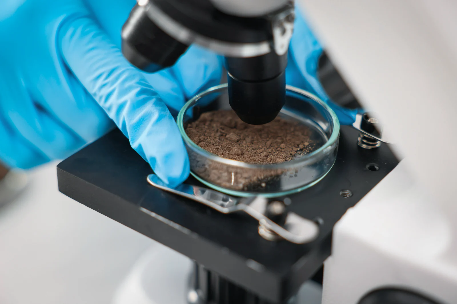 Gloved researcher examining a soil sample under a microscope, with a Petri dish of soil alongside