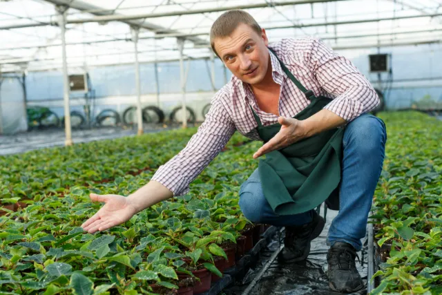 Grower in a greenhouse pointing to a row of young potted plants