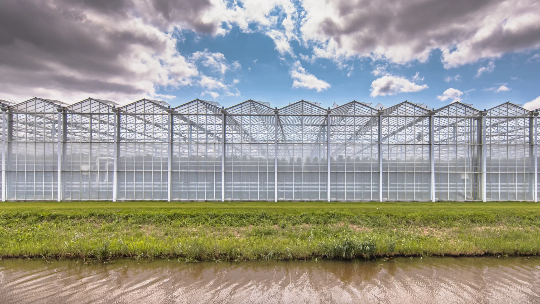 Front of a professional greenhouse horticulture site with a ditch and grass verge in front of it
